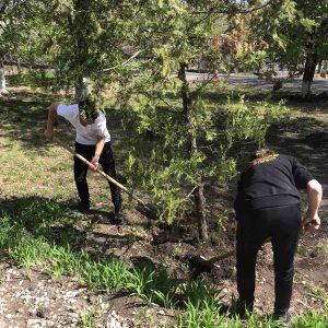 Acțiunile de salubrizare și amenajare a teritoriului Complexului educațional grădiniță- gimnaziu din comuna Cruzești este în plină desfășurare