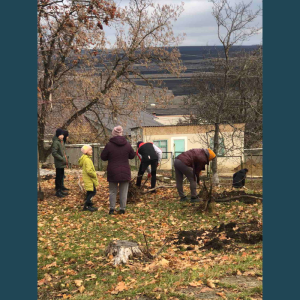 S-a salubrizat/igienizat și plantat 50 de arbori pe terenul școlar al gimnaziului-grădinița Cruzești